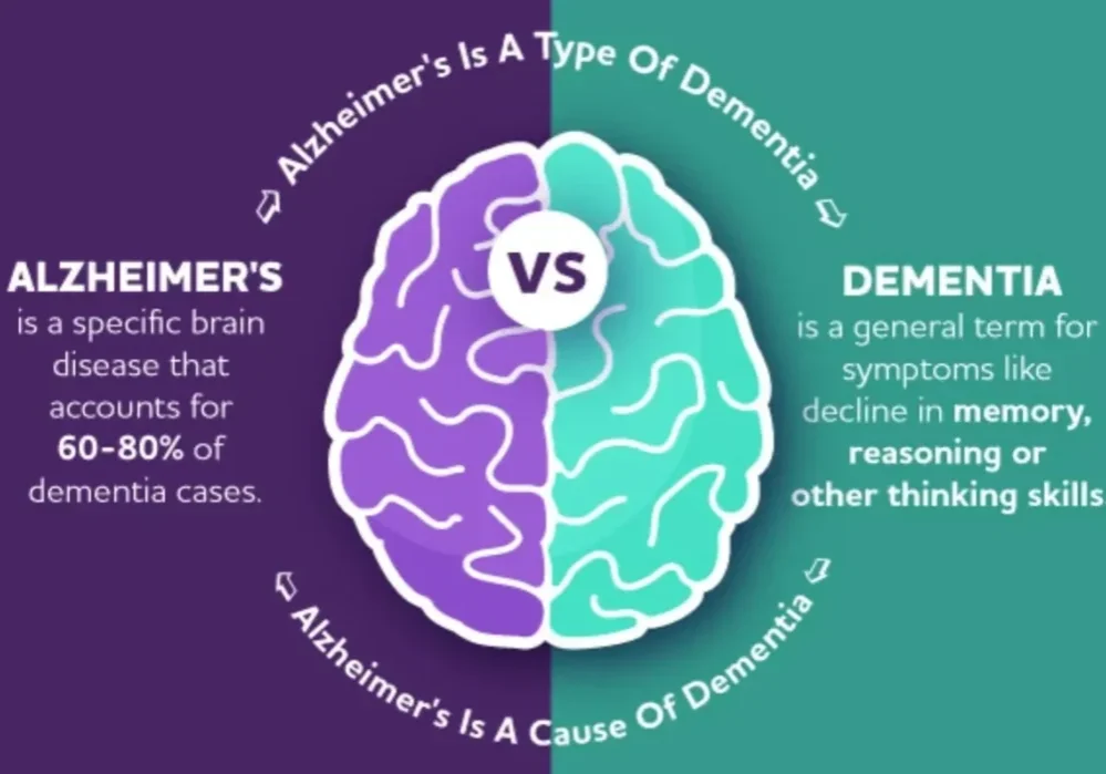 A purple and green diagram of alzheimers disease.